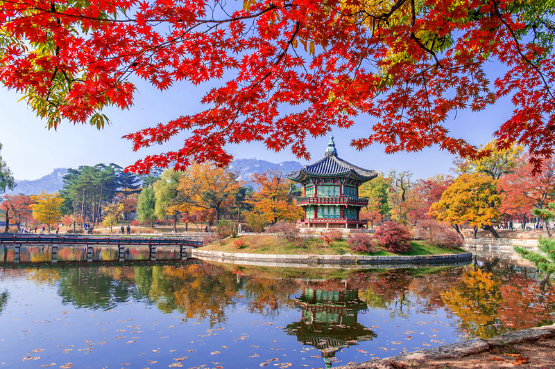 Korea (Autumn)